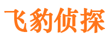 大同市调查公司